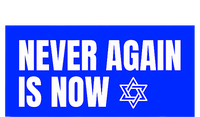 Never Again Is Now Jewish Israel Pride Am Yisrael Chai Adult Drive Performance Visor