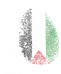 ItS In My Dna Palestine Flag Cool Gift Palestinian Roots Gift T-Shirt