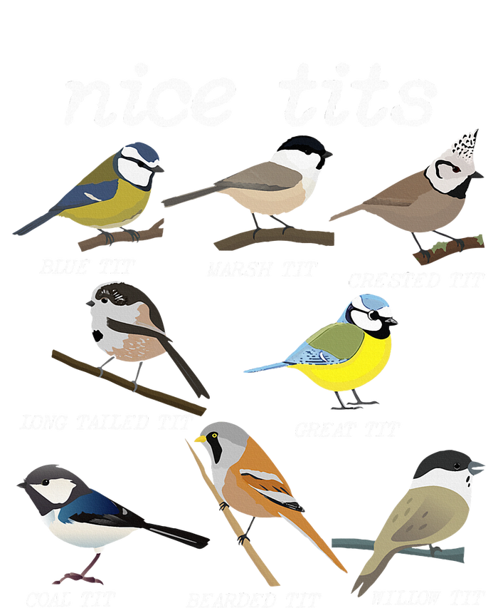 Nice Tits Funny Bird Watching Funny Tit Birds Birdwatcher Full Zip Hoodie