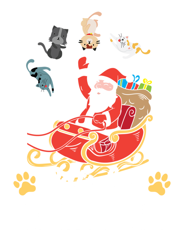 Cats For Everybody Santa Kitties Merry Christmas Costume Meaningful Gift Toddler T-Shirt