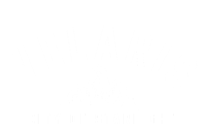 Velaris City Of Starlight Toddler Long Sleeve Shirt