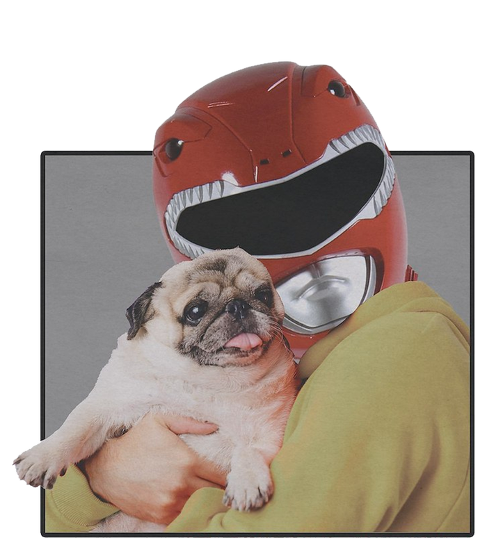 Power Rangers Red Ranger Cuddling A Pug Toddler Sweatshirt