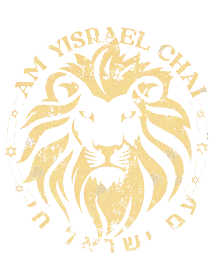 Am Yisrael Chai Lion of Zion Valucap Bio-Washed Visor