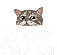 Meow IM A Cat Funny Halloween Costume Spooky Pet Lover T-Shirt