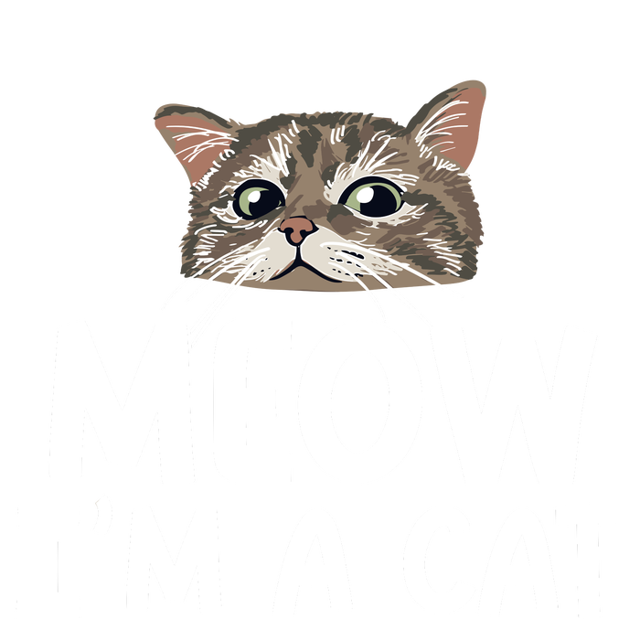 Meow IM A Cat Funny Halloween Costume Spooky Pet Lover T-Shirt