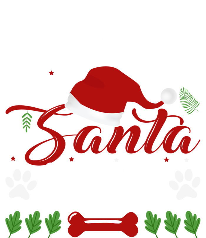 I Believe In Santa Paws Gift Women's Tri-Blend 3/4-Sleeve Raglan Shirt