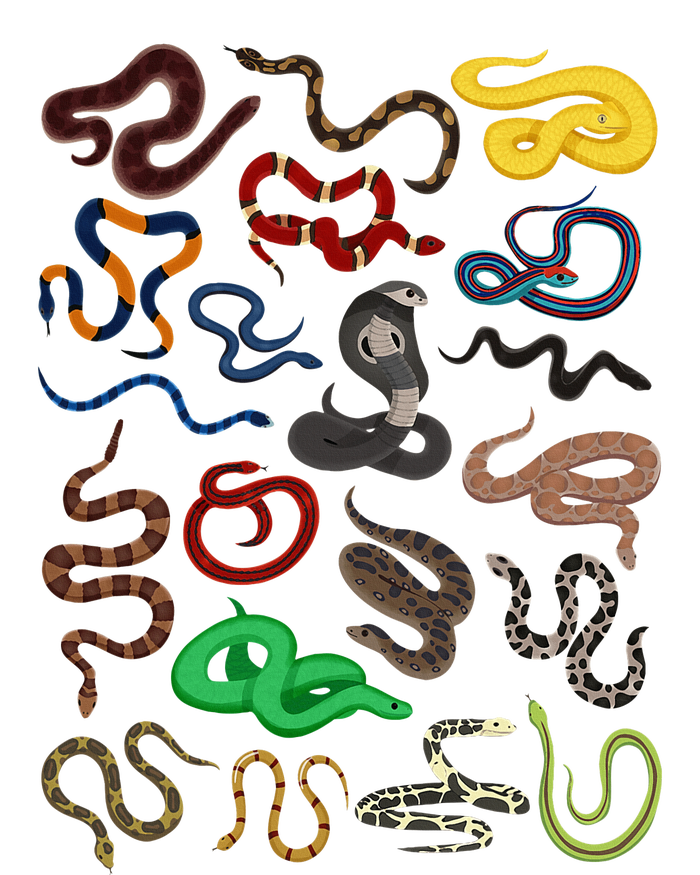 Different Types of Snakes Snake Collage Canvas