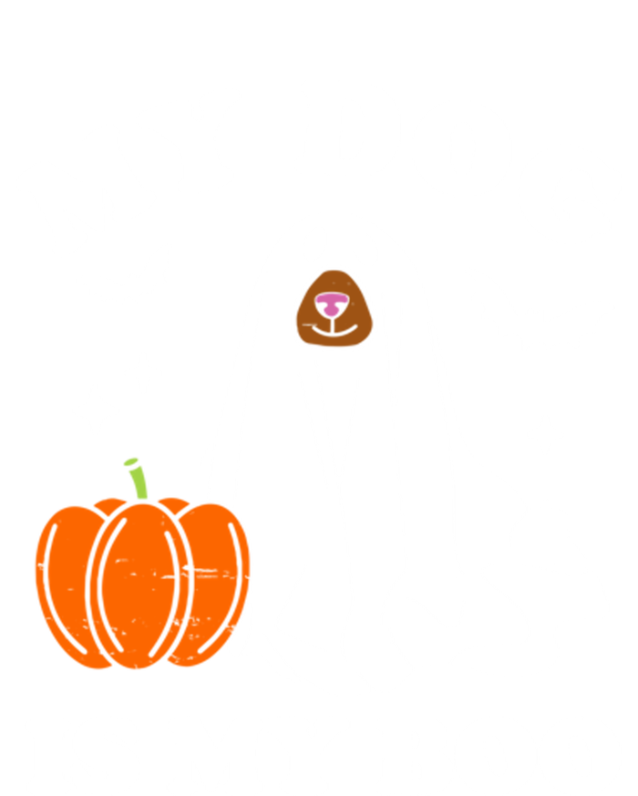 My Dog Is My Boo Halloween Funny Dog Owner Ghost Lover Great Gift T-Shirt