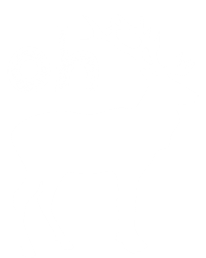 Oh Deer Christmas Gift Funny Reindeer Pun Ugly Gift Tall T-Shirt