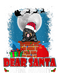 S Dear Santa Define Naughty Portuguese Water Dog Christmas Vneck Women's T-Shirt