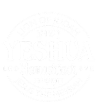 Yeshua Hamashiach Jesus The Messiah Lion Of Judah Christian T-Shirt