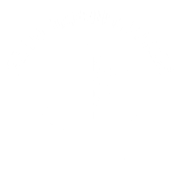 Israel Defense Forces Jewish Star Ladies Essential Tank