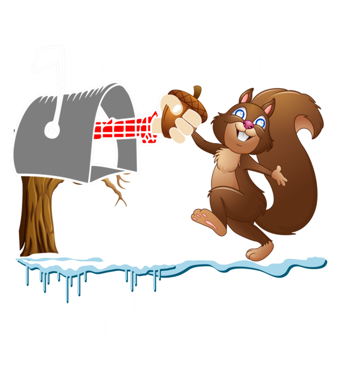 Dear Santa Nuts Please Christmas Squirrel Gift T-Shirt