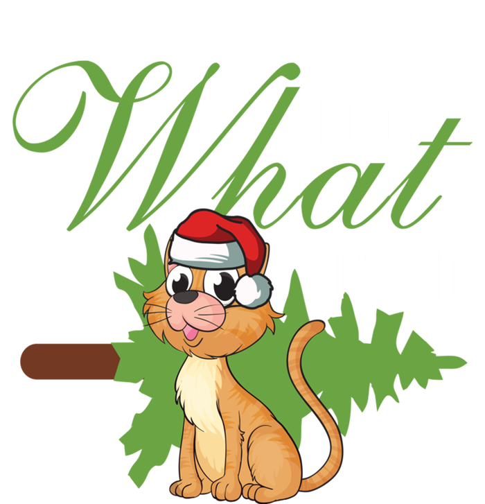 I Do What I Want Cat Wearing Santa Hat Sarcastic Christmas Great Gift Poster