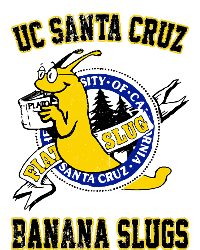 Uc Santa Cruz T-Shirt