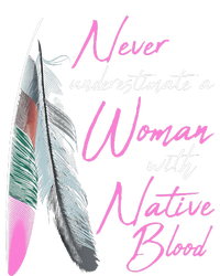 Native American A Woman With Native Blood American Poster