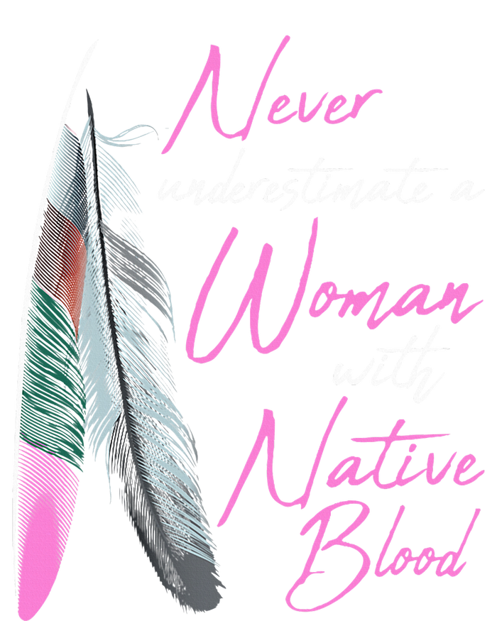 Native American A Woman With Native Blood American Poster