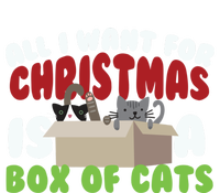 All I Want For Christmas Is A Box Of Cats Gift T-Shirt