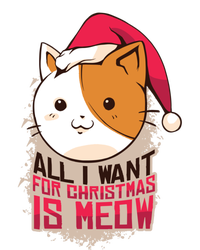 Cat A Santa Hat And All I Want For Christmas Is Meow Gift T-Shirt