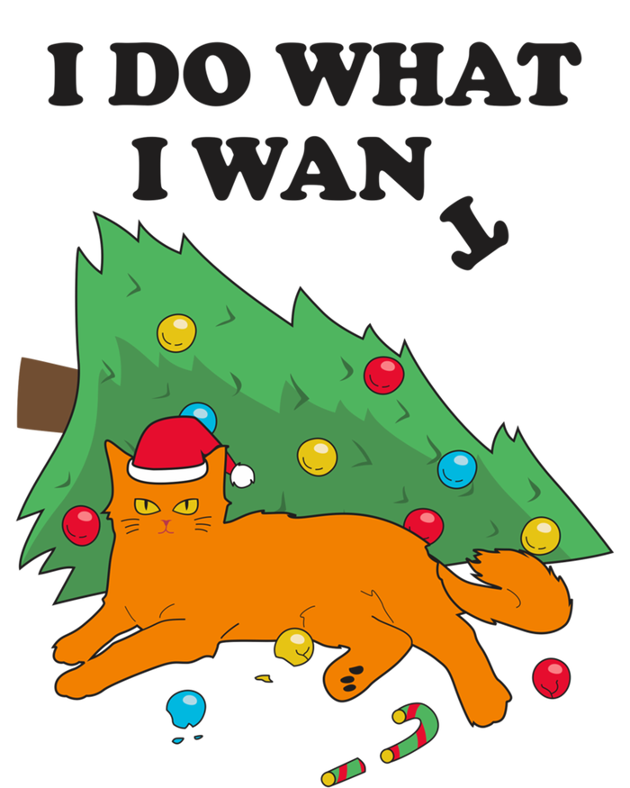 Funny Cat I Do What I Want Christmas Graphic Gift Cute Gift T-Shirt