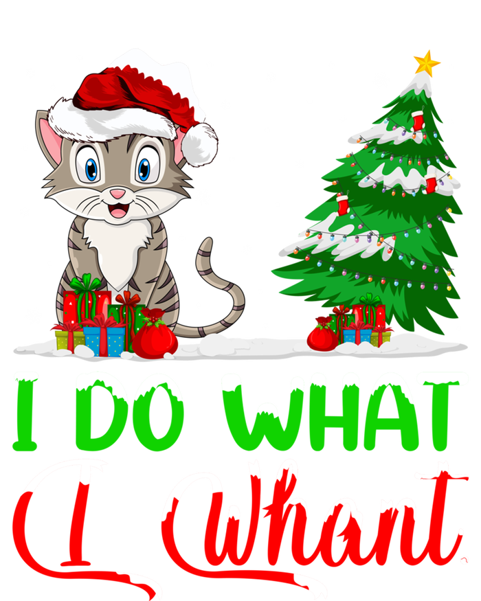 Xmas Tree Cat Lover I Do What I Want Cat Christmas Gift Pom Pom 12in Knit Beanie