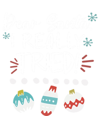 Dear Santa I Really Tried Family Group Christmas Matching Gift Premium Hoodie