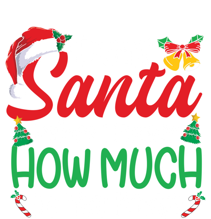 Funny Christmas Funny Gift Adults Dear Santa I Can Explain Funny Gift T-Shirt