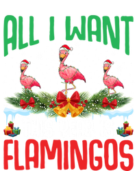 All I Want This Year Is Flamingos Wearing Hat Christmas Cute Gift T-Shirt