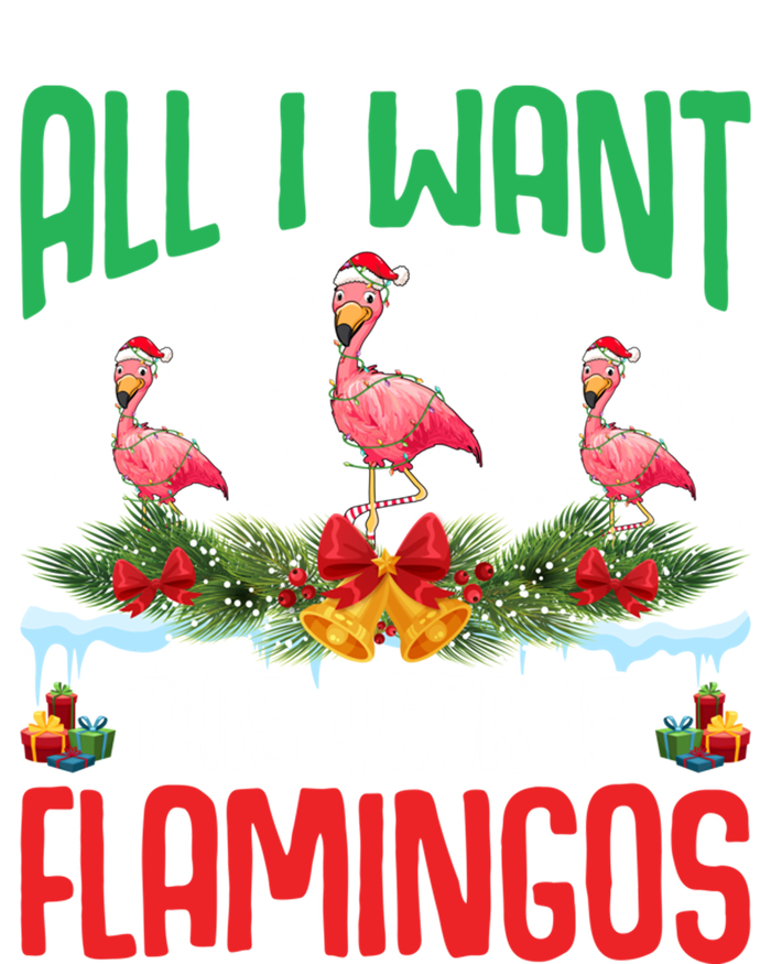 All I Want This Year Is Flamingos Wearing Hat Christmas Cute Gift T-Shirt