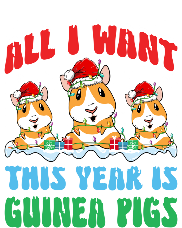 All I Want This Year Is Guinea Pig Wearing Christmas Hat Great Gift T-Shirt