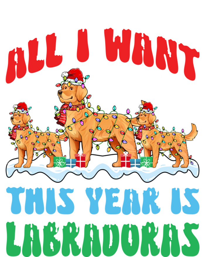 All I Want This Year Is Labrador Dog Wearing Christmas Hat Gift Valucap Bio-Washed Visor