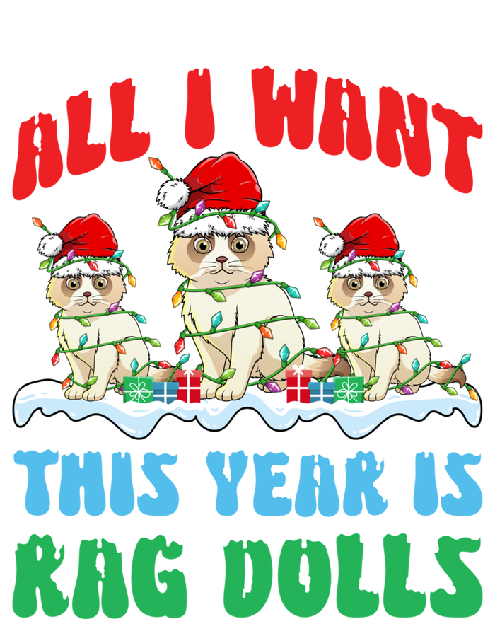 All I Want This Year Is Ragdoll Cat Wearing Christmas Hat Gift Premium T-Shirt