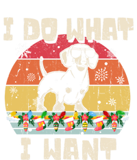 I Do What I Want Dachshund Retro Christmas Style Funny Gift Stripe Pom Pom Beanie