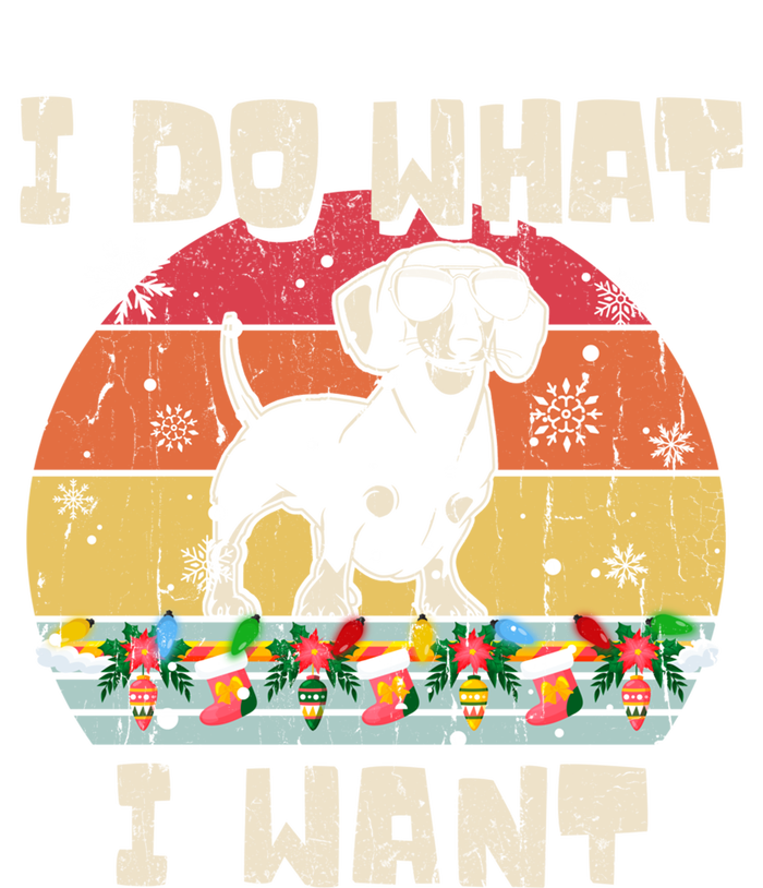 I Do What I Want Dachshund Retro Christmas Style Funny Gift Stripe Pom Pom Beanie