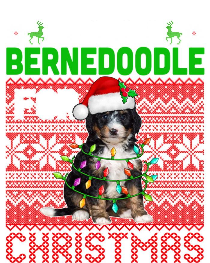 I Want A Bernedoodle For Christmas Santa Dog Lover Owner Gift T-Shirt