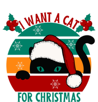 I Want A Cat For Christmas Xmas Cat Gift T-Shirt