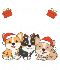 I Want A Corgi For Christmas Cute Dogs Cute Gift Ladies Long Sleeve Shirt