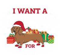 I Want A Dachshund For Christmas Funny Gift Kids Hoodie