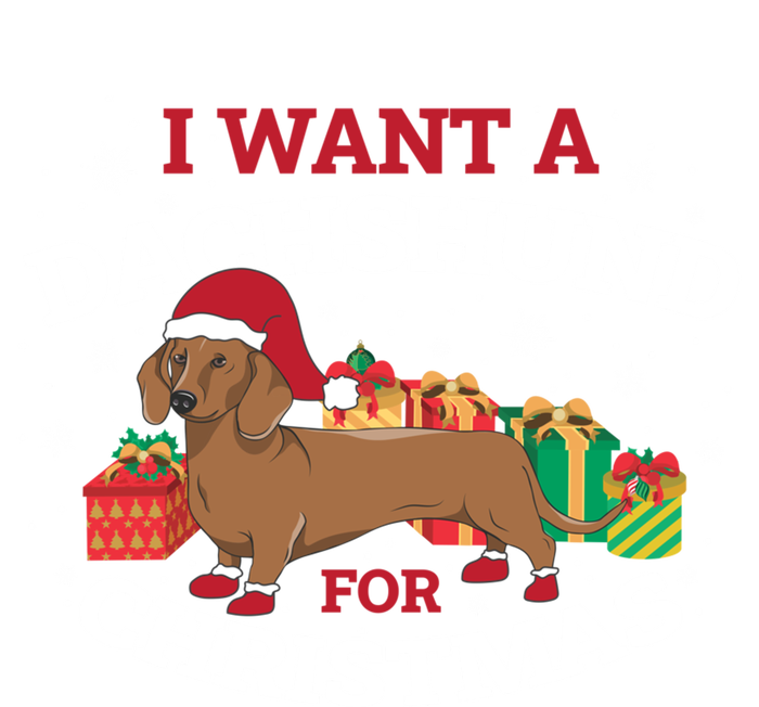 I Want A Dachshund For Christmas Funny Gift Kids Hoodie