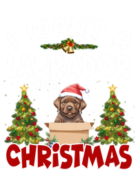 I Want A Labrador For Christmas Labs Mom Dog Lover Christmas Funny Gift Premium Hoodie