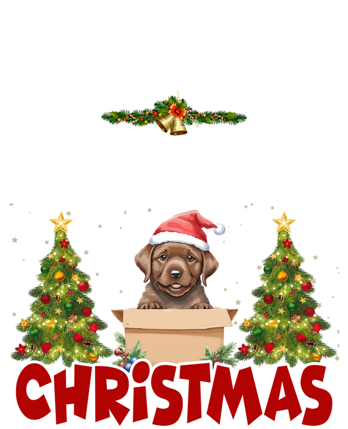 I Want A Labrador For Christmas Labs Mom Dog Lover Christmas Funny Gift Premium Hoodie