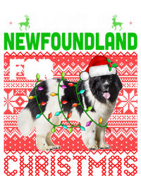 I Want A Newfoundland For Christmas Santa Dog Lover Owner Gift Valucap Bio-Washed Visor