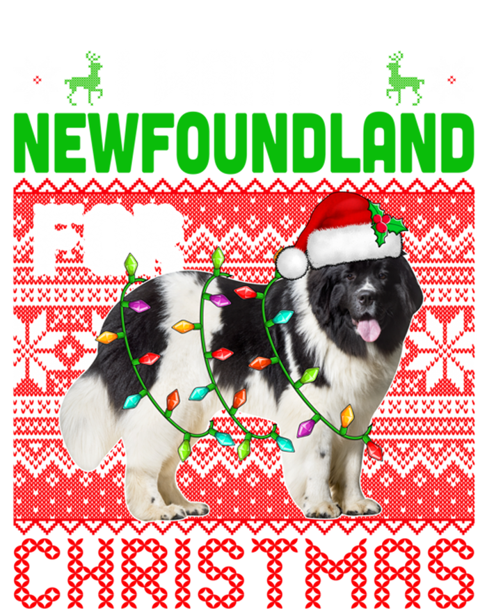 I Want A Newfoundland For Christmas Santa Dog Lover Owner Gift Valucap Bio-Washed Visor