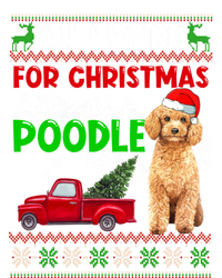 I Want A Poodle For Christmas Ugly Sweater Dog Xmasoutfit Gift Tall T-Shirt