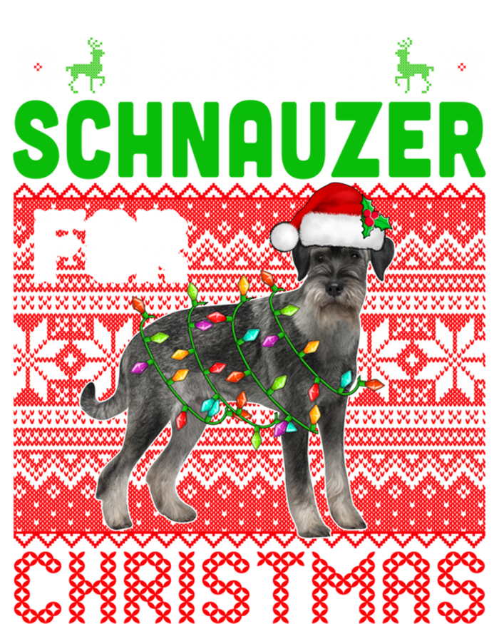 I Want A Schnauzer For Christmas Santa Dog Lover Owner Meaningful Gift Toddler Long Sleeve Shirt