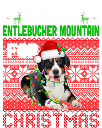 I Want An Entlebucher Mountain For Christmas Santa Dog Lover Cute Gift T-Shirt