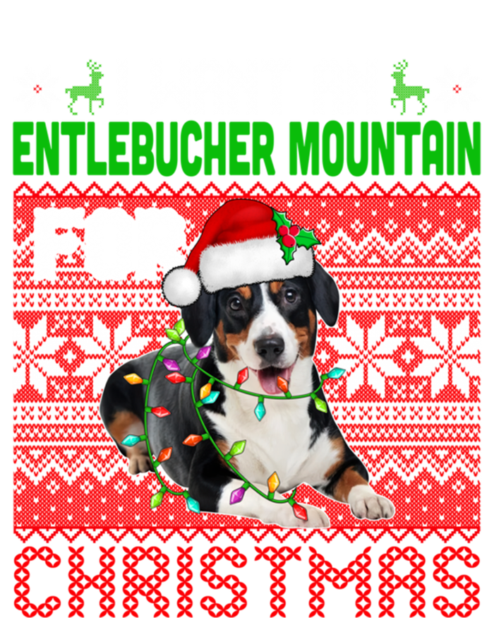 I Want An Entlebucher Mountain For Christmas Santa Dog Lover Cute Gift T-Shirt