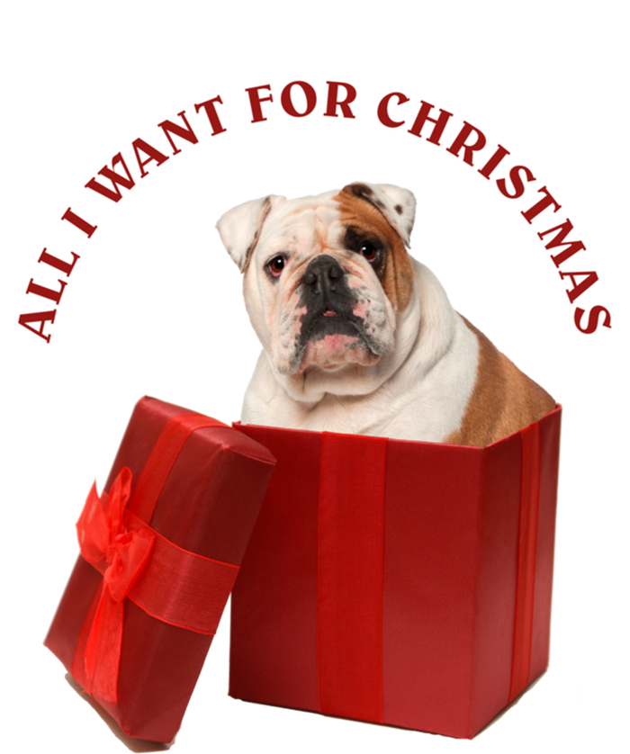 All I Want For Christmas English Bulldog Cool Gift Sweatshirt