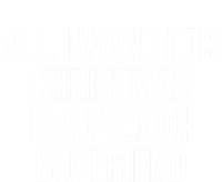 All I Want For Christmas Is A French Friend Gift Hoodie