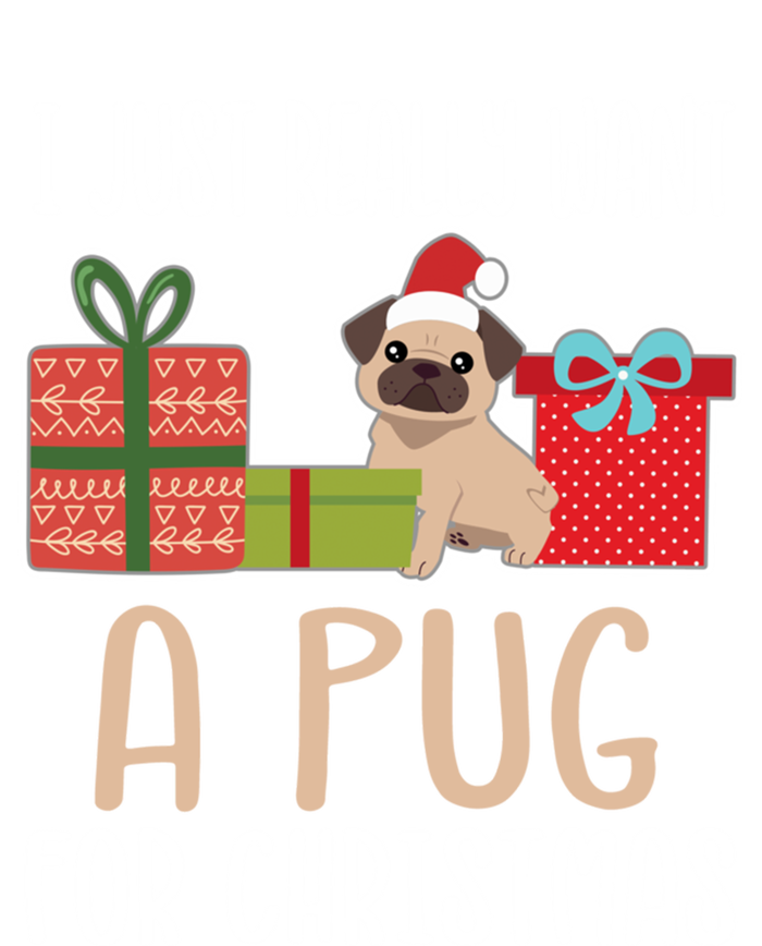 Cute Christmas Pug Owner I Want A Pug Great Gift Hoodie